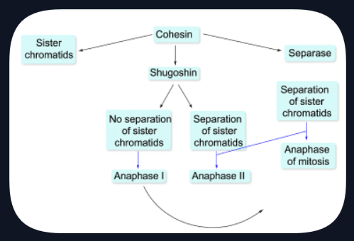 <p>Match the relationships to the best corresponding concepts.</p>