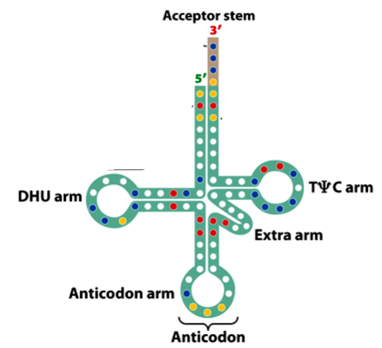 <p>What is this&nbsp;</p>