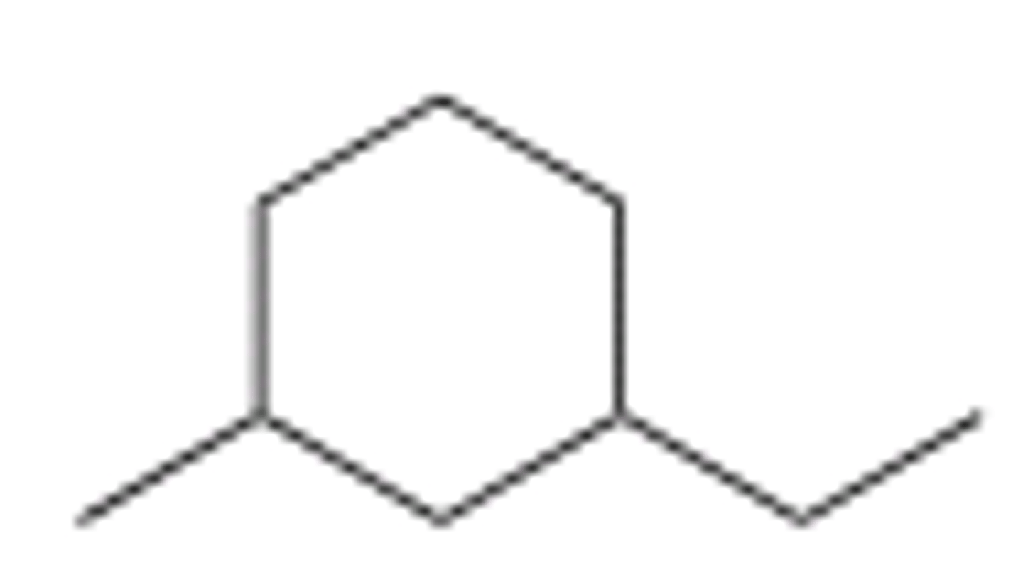 <p>B</p>