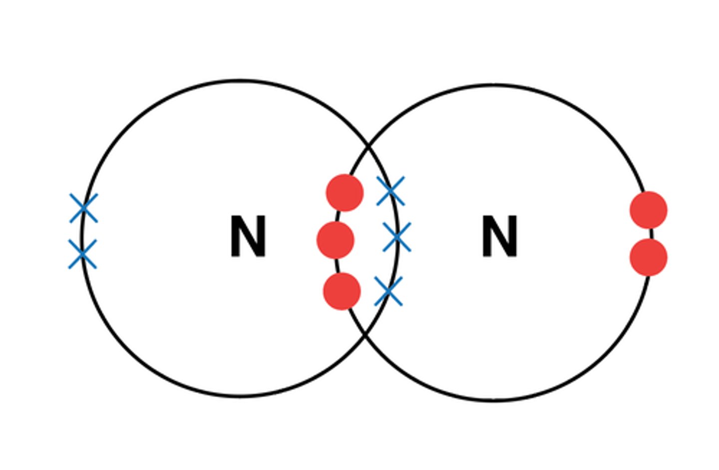 <p>A covalent bond where more than one pair of electrons is shared between atoms.</p><p>EXAMPLE: N2</p>