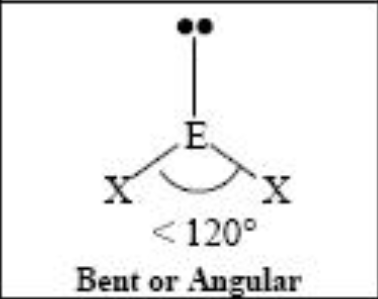 <p>V-Shaped</p>
