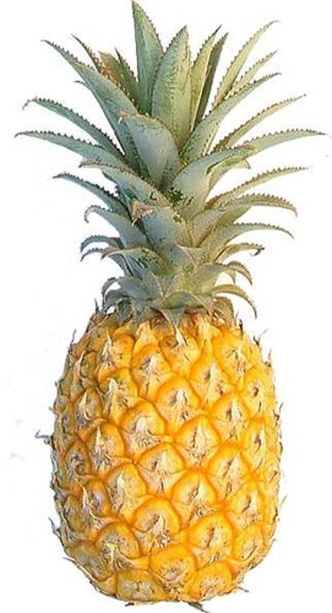 <p>pinapple</p>