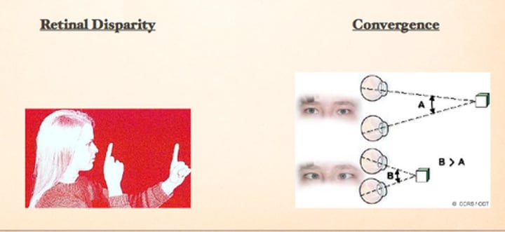 <p>depth cues, such as retinal disparity, that depend on the use of two eyes. (Myers Psychology for AP 2e p. 184)</p>