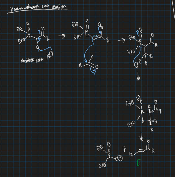 <ul><li><p>Variation of a wittig reaction used to form a double bond</p></li><li><p>Use Phosphonate ester, base and aldehyde</p></li></ul><p></p>