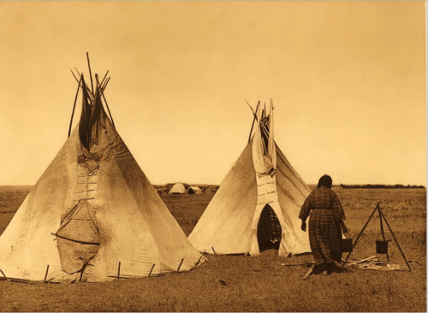 <p>In addition to the Dawes Act, by 1900, whites killed nearly all of THESE. Native American depended on them for their food, clothing, and shelter.</p>