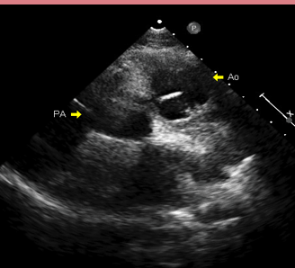 <p>What is this an image of?</p>