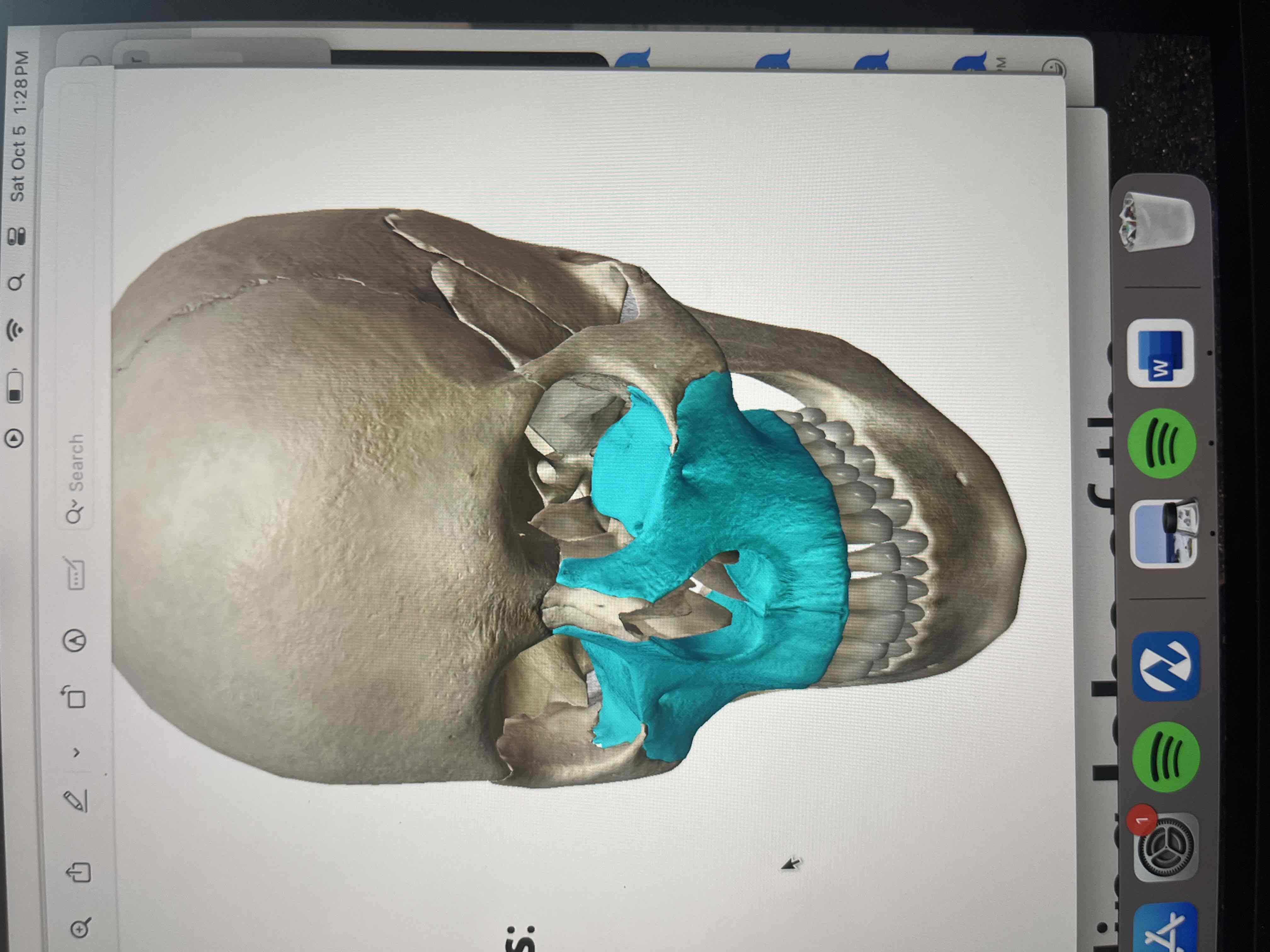 <p>form the upper jaw and boundary of three cavities </p>