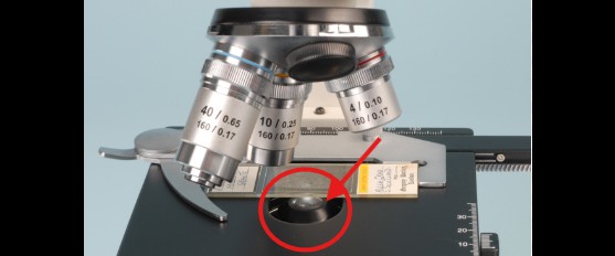 <p>Substage Light</p>