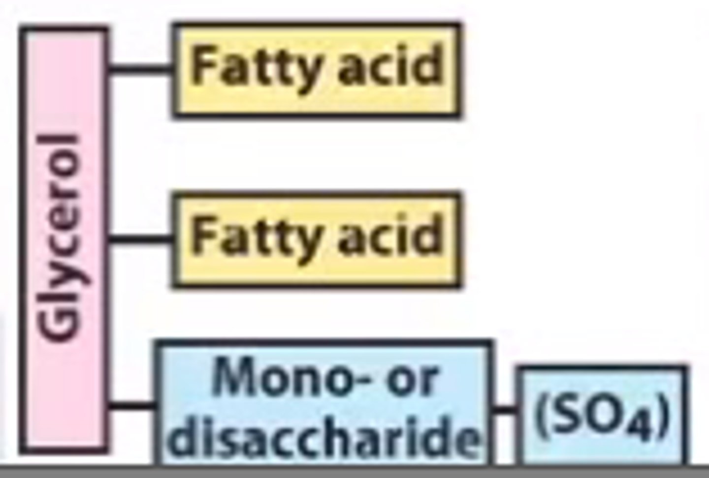 <p>glycerol + 2 fatty acids + mono/disaccharide + Sulfate is what kind of lipid?</p>