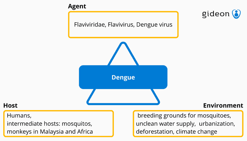 Epidemiologic Triad Model