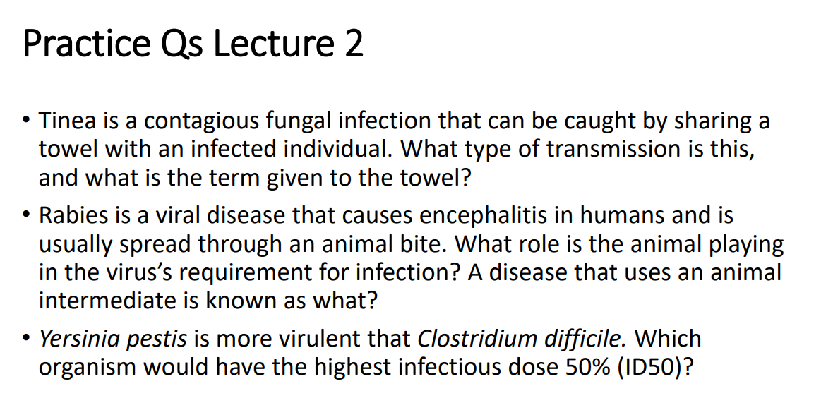<p>Practice Questions Lecture 2</p>