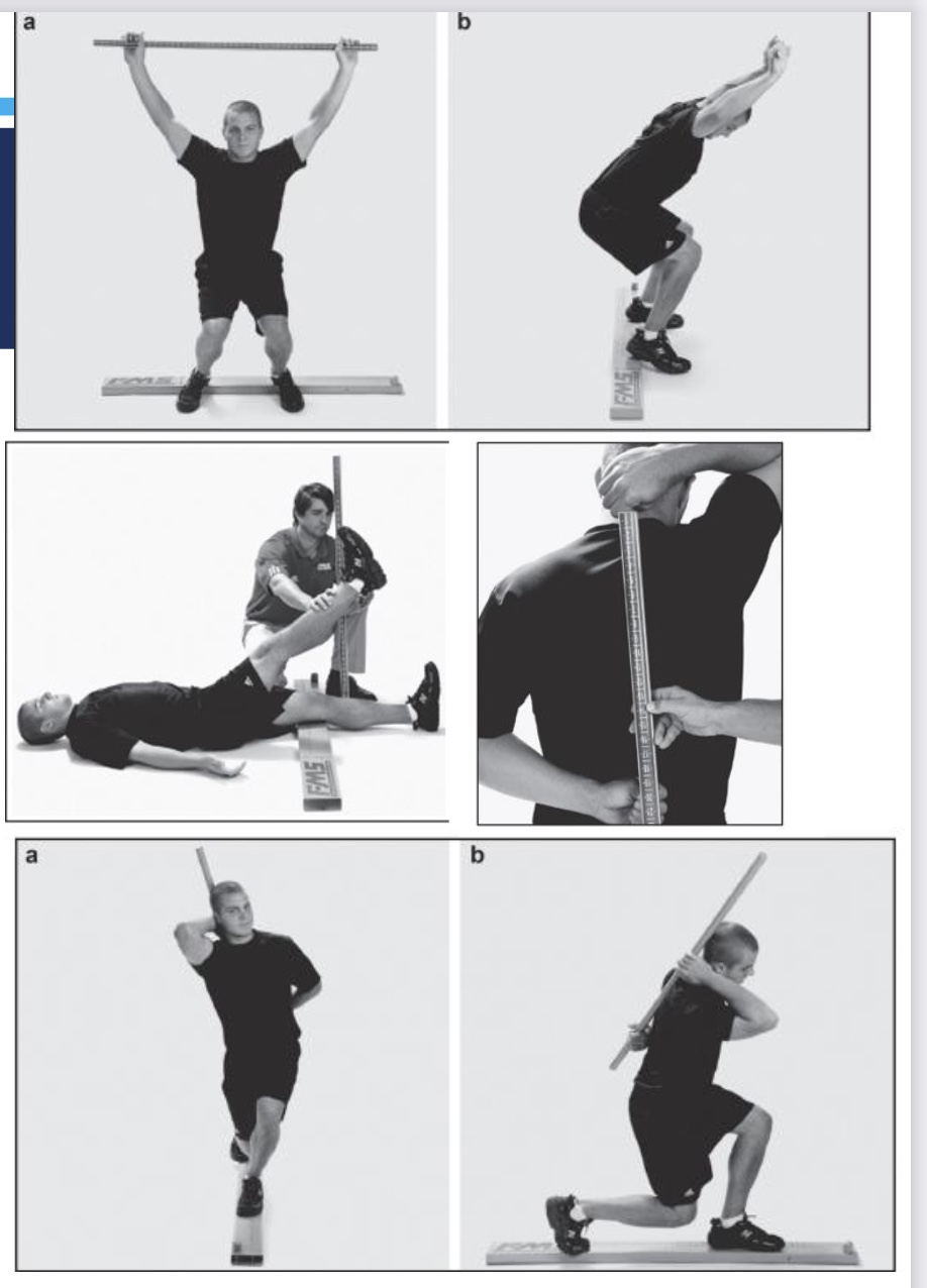 <p>how did we help Terry?</p>