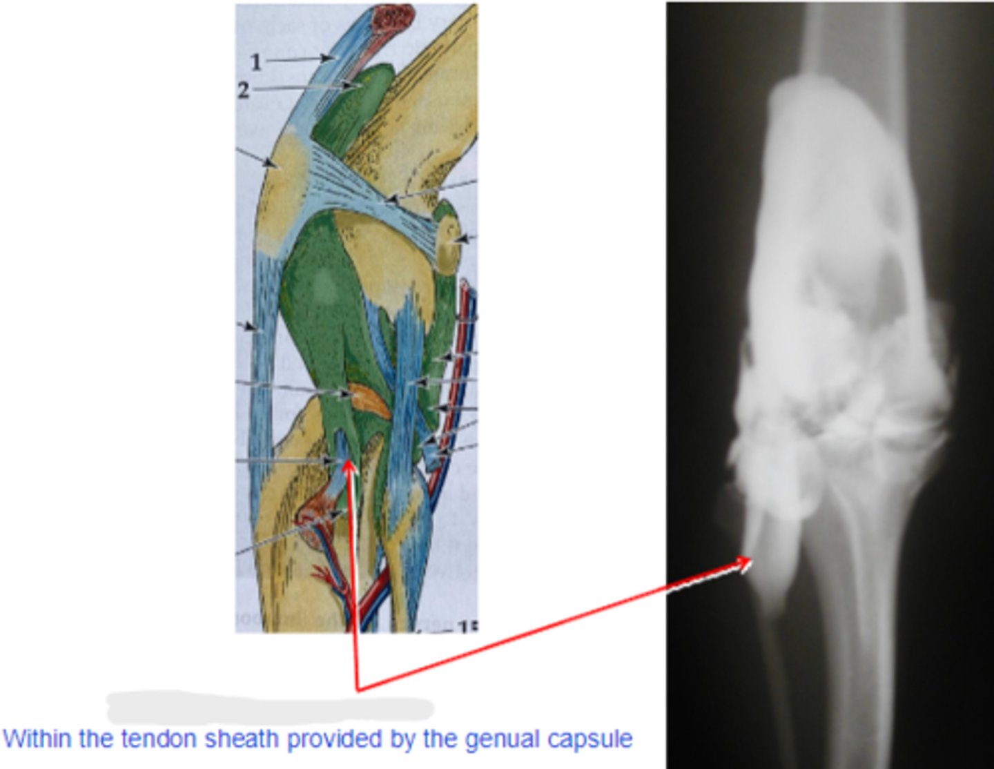 <p>What is shown?</p>
