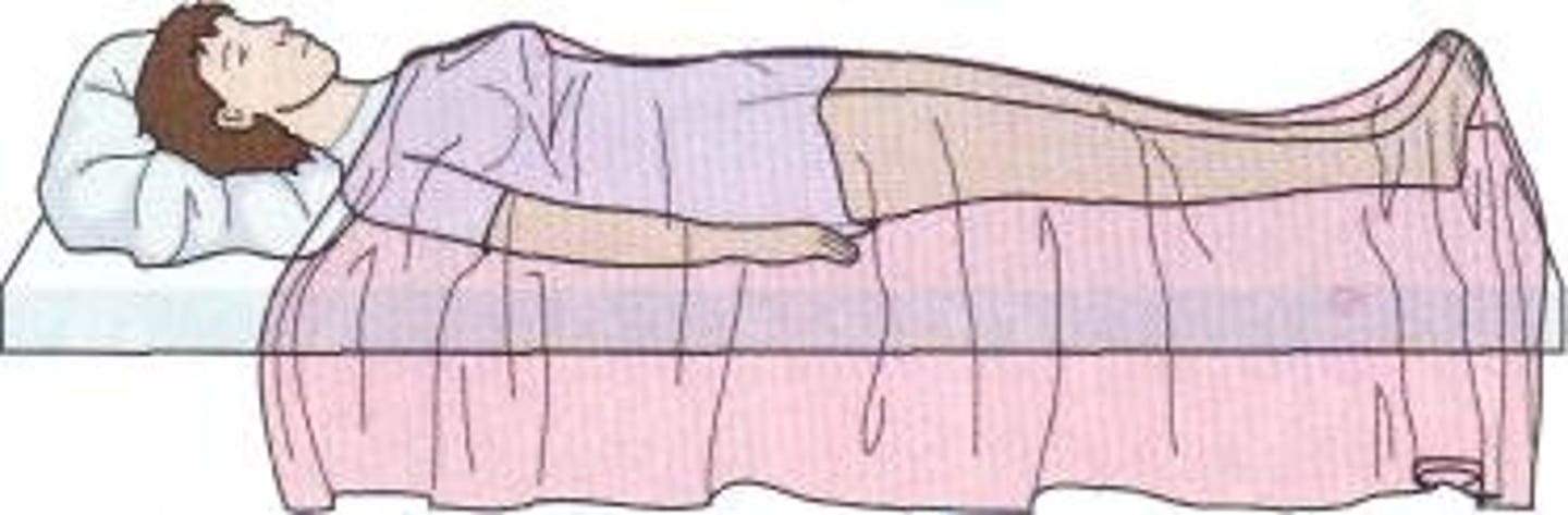 <p>lying on back, facing upward</p><p>Posterial surface</p>