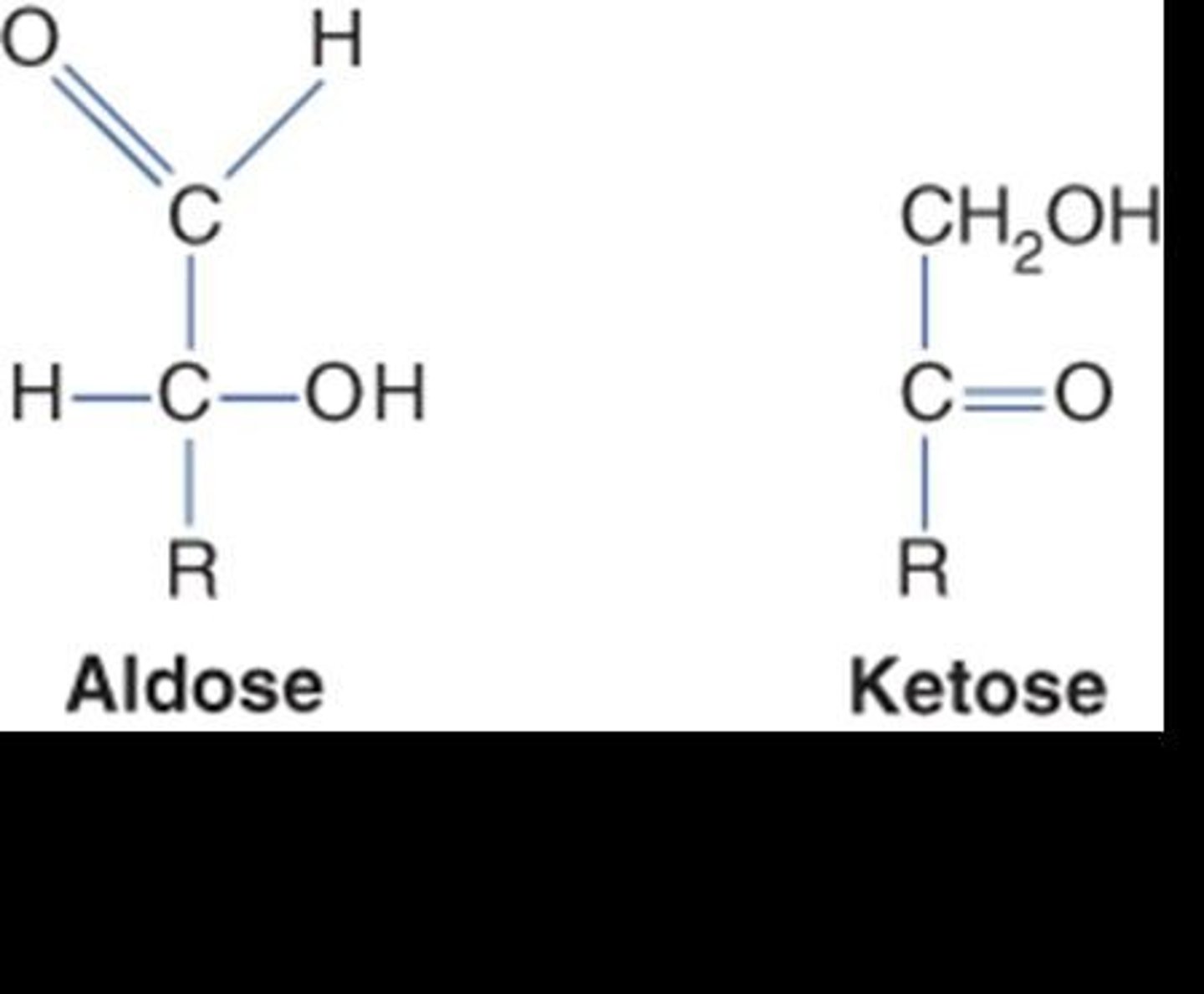 <p>Aldoses have a terminal carbonyl group (aldehyde), while ketoses have a carbonyl group in the middle of the molecule.</p>