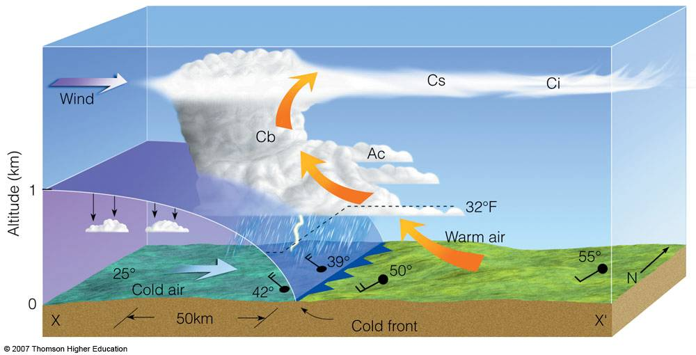 <p>Cold dense air rapidly displaces warm air upward, producing thunderstorms, heavy rain, wind shifts, and sharp cooling.</p>