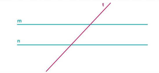<p>a line that cuts other lines</p>