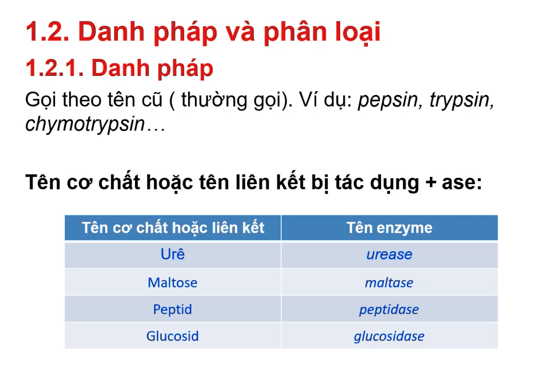 <ul><li><p><span style="color: red"><strong>Danh pháp của các enzyme:</strong></span></p></li></ul><p>Tên cơ chất/liên kết + đuôi<span style="color: blue"><strong> “-ase” </strong></span></p><p><span style="color: purple"><em>(Nhấn OK) </em></span></p>