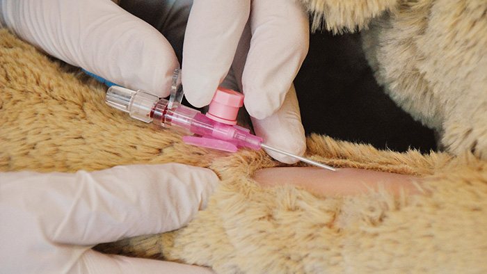 <p>tube inserted into narrow opening for removal or introduction of fluids</p>