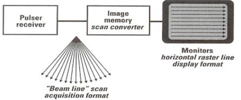 <p>(1) makes grayscale displays and real-time imaging possible by storing image data</p><p>(2) scan converter accepts image information in one scan mode (B-scan) and sends it to the display unit in another scan mode (raster scan)</p>