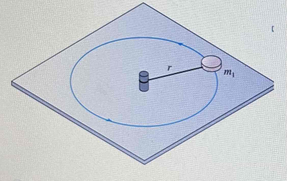 <p>An ice hockey puck is tied by a string to a stake in the ice. The puck is then swung in a circle. <strong>What force is producing the centripetal acceleration of the puck?</strong></p>