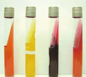 <p>Which part of this medium is the <strong>anaerobic portion?</strong></p>