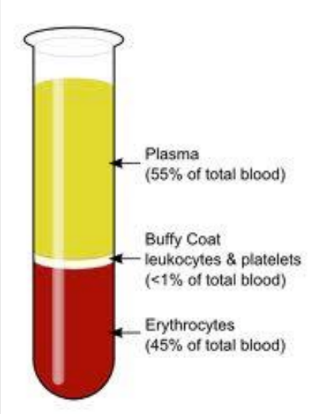 <p><span>Plasma = may contain some genetic material (used for HIV)</span></p><p><span>Buffy coat = DNA (WBCs &platelets)</span></p><p><span>Eryhtrocytes = RBCs </span></p>