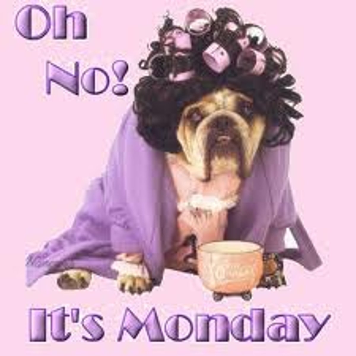 <p>Monday</p>