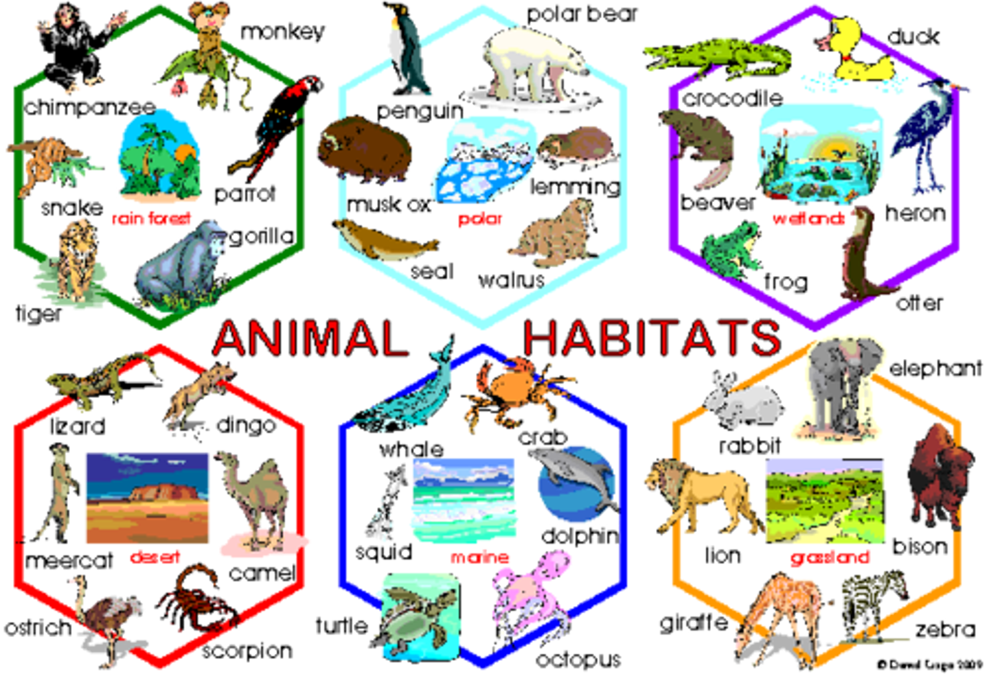 <p>Place where an organism lives.</p>