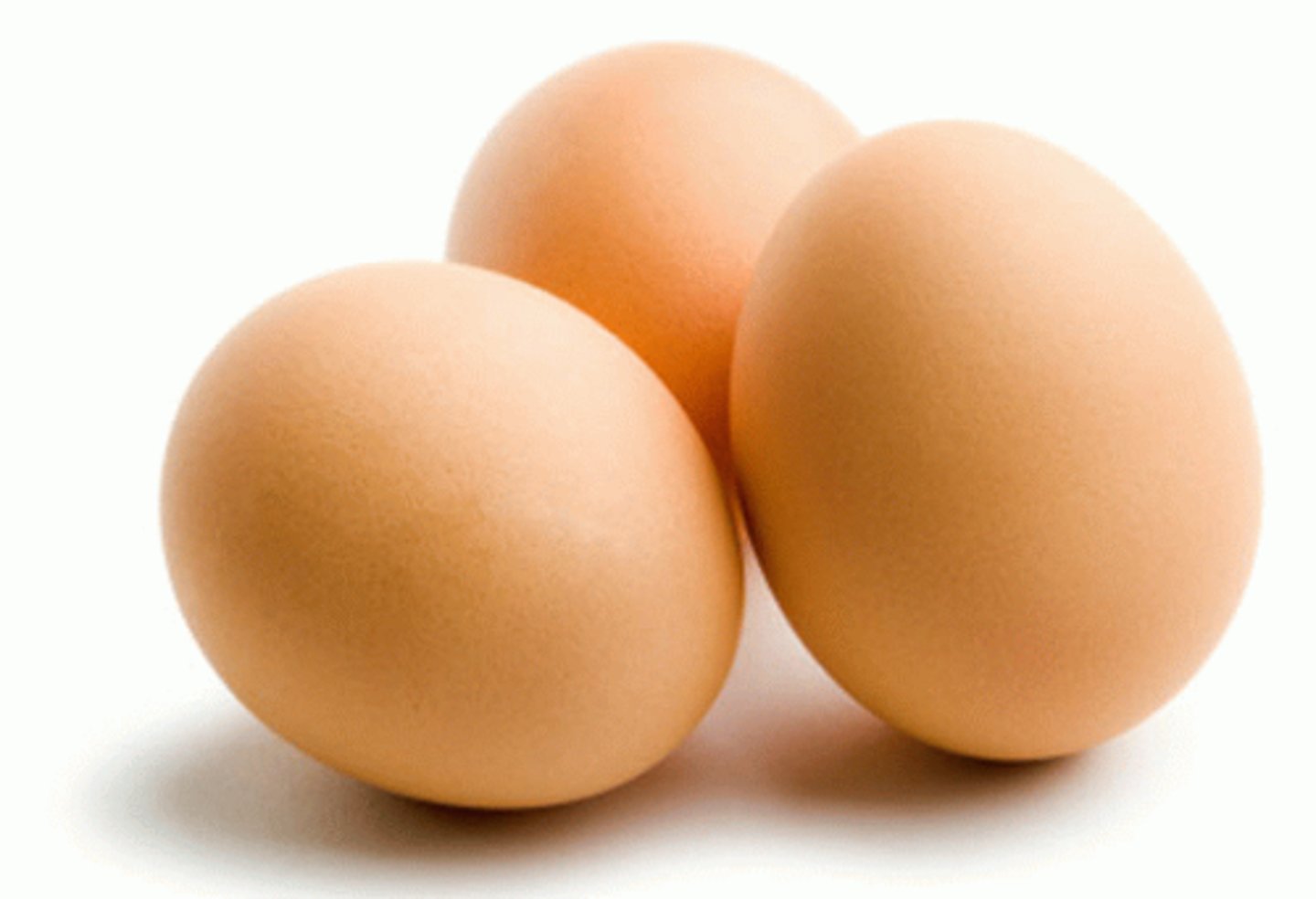 <p>egg</p>