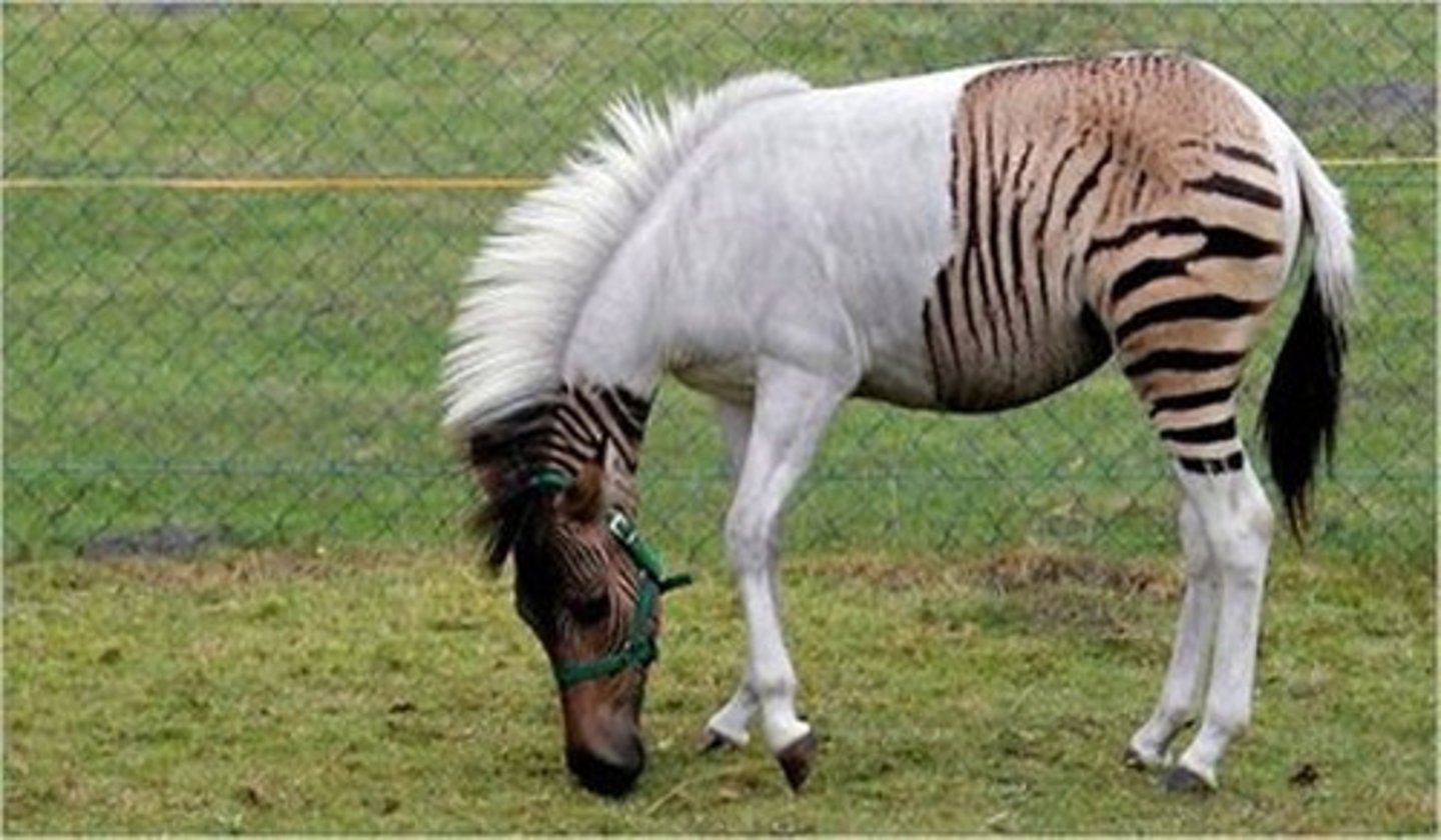 <p>different or unusual; not what you'd expect,</p>