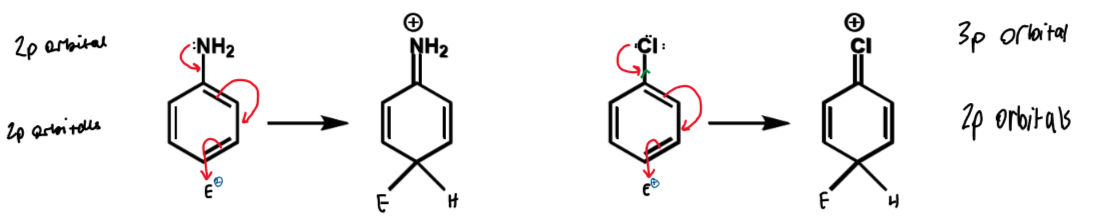 <ul><li><p>similar electronegativity - both should deactivate by induction</p></li><li><p>N has better orbital overlap than Cl for lone pair donation</p></li><li><p>nitrogen is activating by resonance</p></li><li><p>Cl is still o/p directing and is overall deactivating</p></li></ul><p></p>