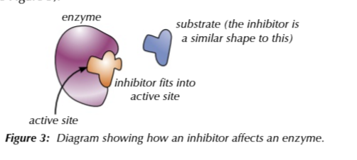 <p>when an inhibitor binds to the active site to reaction takes place</p>