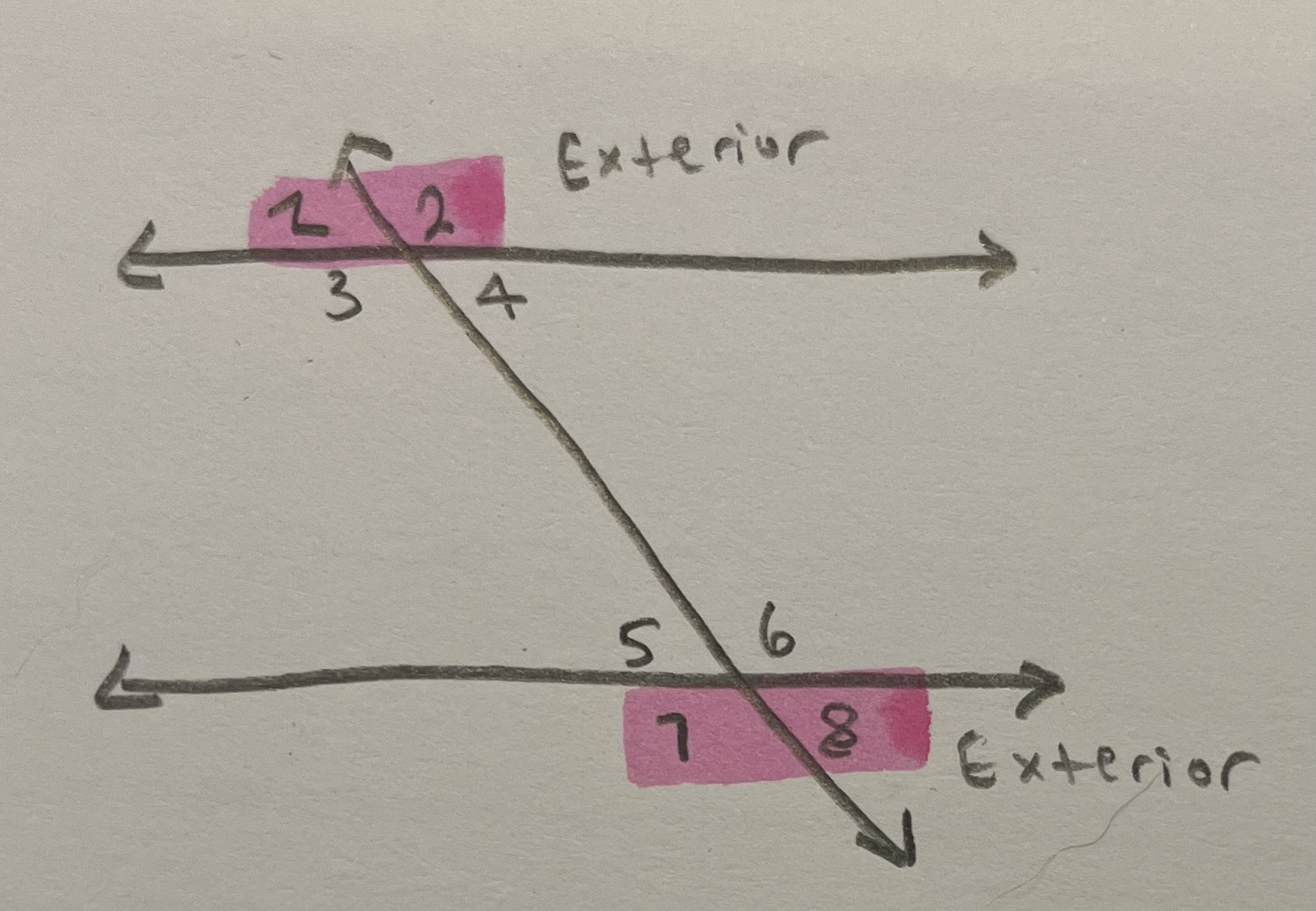 <p>2 angles that are <strong><em>outside</em></strong> the parallel lines</p>