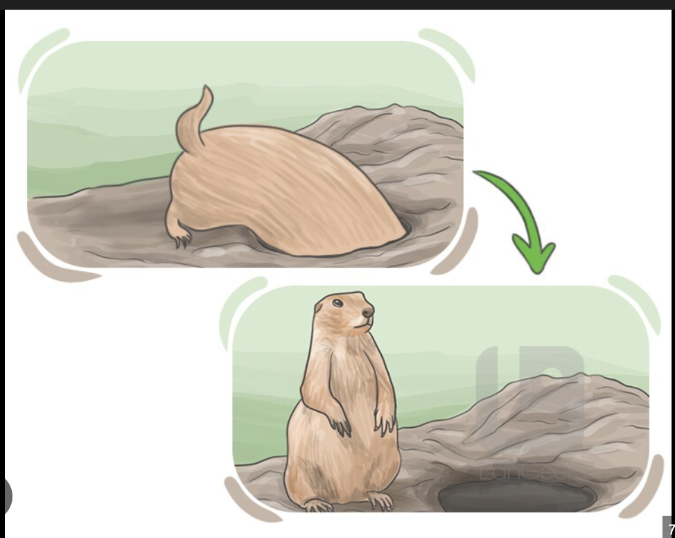 <p>(n) -</p><ul><li><p><strong>a hole or tunnel dug by a small animal (such as a rabbit or mouse) for habitation or refuge.</strong> </p></li></ul><p>(cái hang, hang động vật, chỗ ẩn náu)</p><p>(v) - </p><ul><li><p><strong>to dig a hole or tunnel; to move under or through something.</strong> </p></li></ul><p>(đào hang, chui rúc vào, ẩn mình)</p>