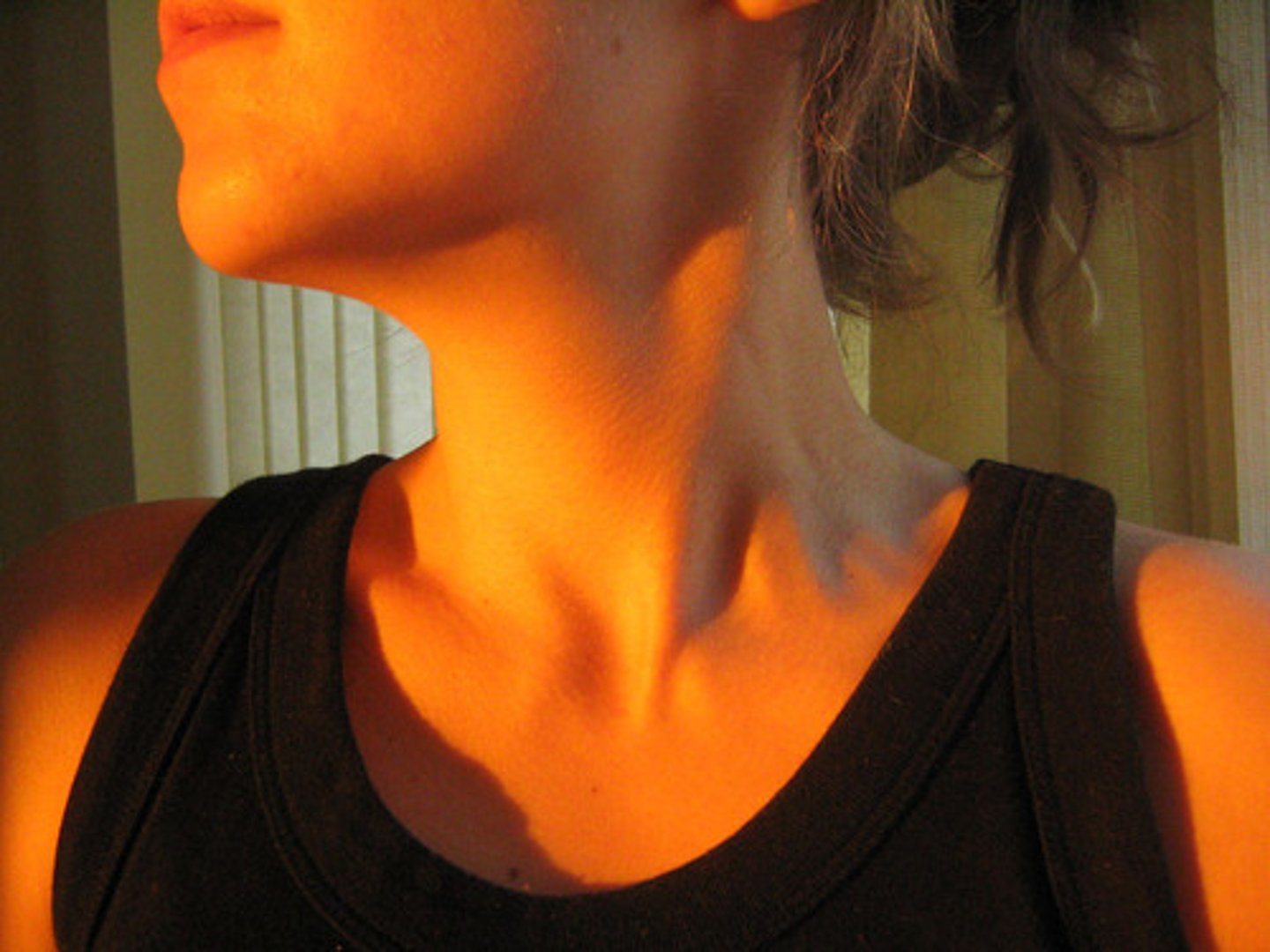 <p>the neck</p>