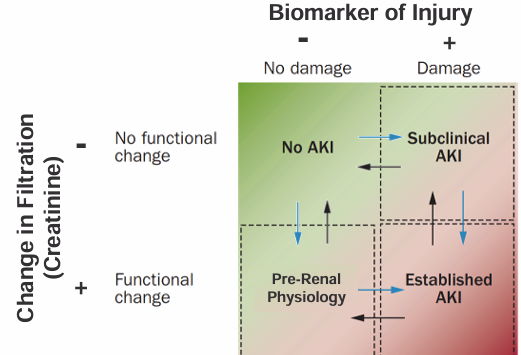 <p>-true AKI can be present without a change in Cr (“subclinical AKI”)</p><p>-Cr can be elevated without any tubular injury (“pre-renal physiology”)</p>
