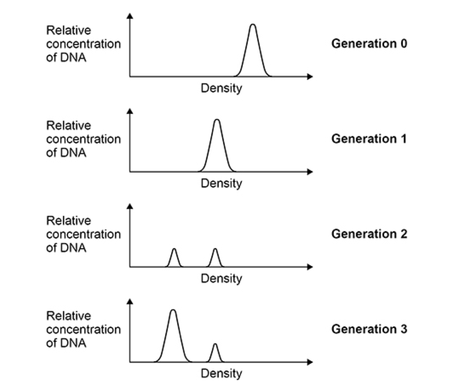 <p>(c) Which of these models, P, Q or R, is supported by the results shown in</p><p>Figure 2?</p><p>Give the letter and name of the model supported and explain why the</p><p>results do not support the other models.</p>