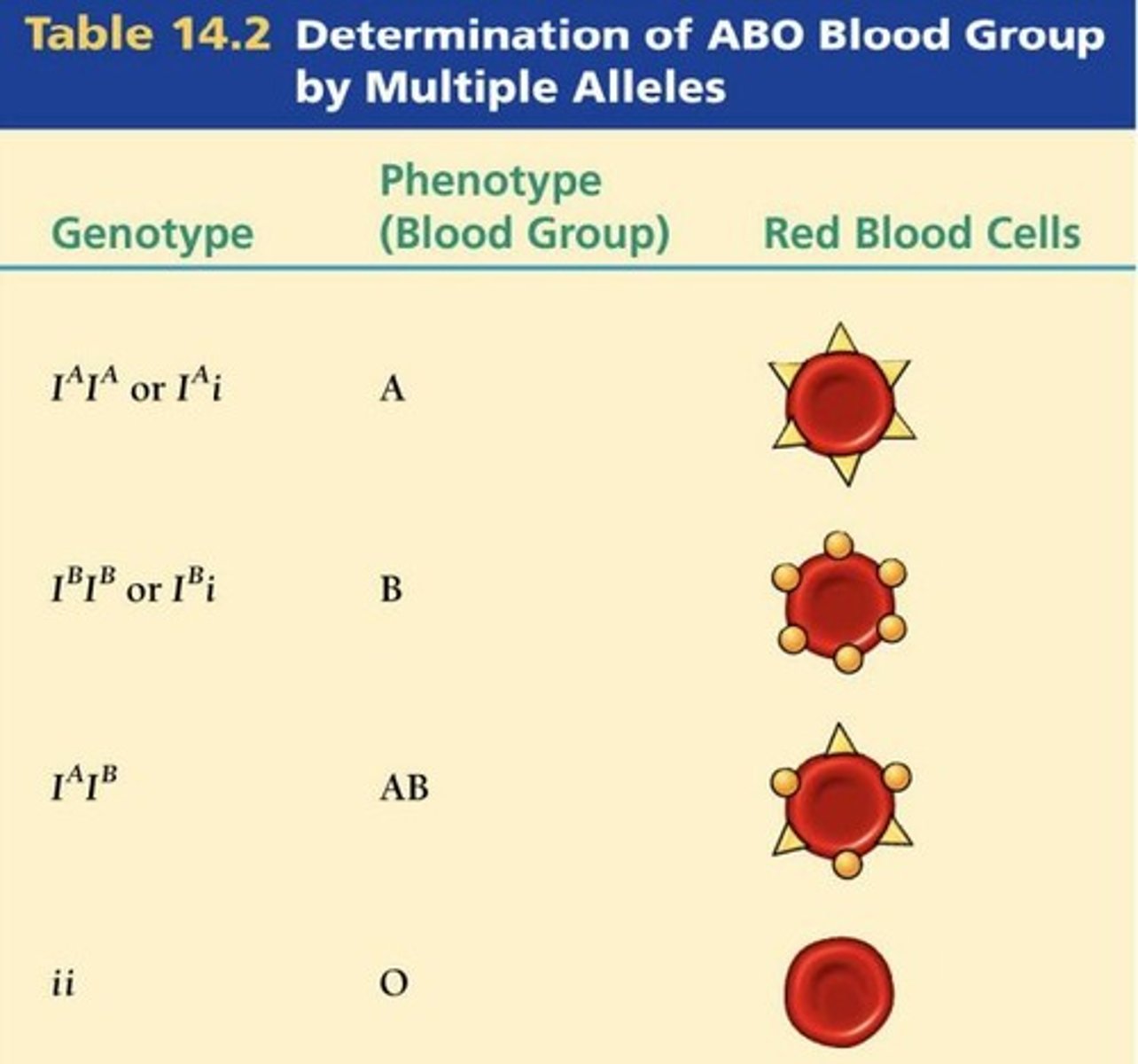 <p>antisera produced in rabbits/ guinea pigs reacted to rhesus monkey blood and caucasian popn</p>