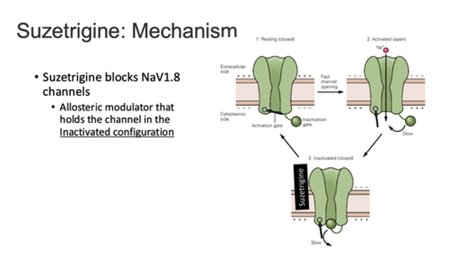 <p>Journavx (CVI)</p><p>Nav 1.8 inhibitor (oral)</p><p>new pain drug targeting transmission of inflammatory pain signal AND addresses SUD/OUD</p><p>- similar analgesic efficacy to hydrocodone</p><p>- similar ADRs: more headache, less N/V</p><p>- helpful in addiction long-term</p><p>- no CNS penetration, no abuse potential</p><p>- avoid in moderate-severe hepatic failure</p><p>- major CYP3A4 substrate</p>