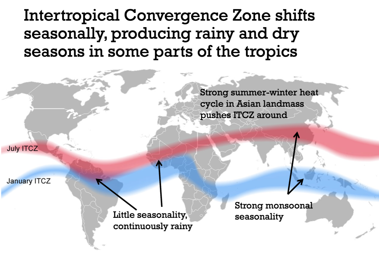<p>Because the intertropical convergence zone doesn’t move as much in those regions (it mainly moves in asia). </p>