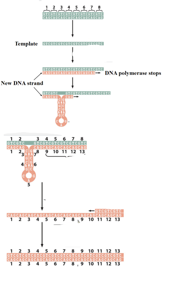 <p>What is this explain&nbsp;</p>