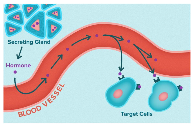 <p>ANSWER IN IMAGE</p>