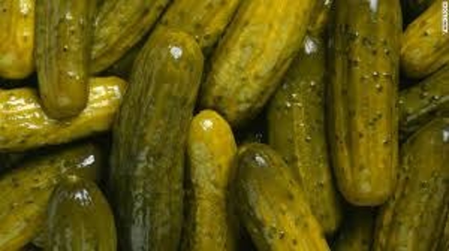 <p>pickle</p>