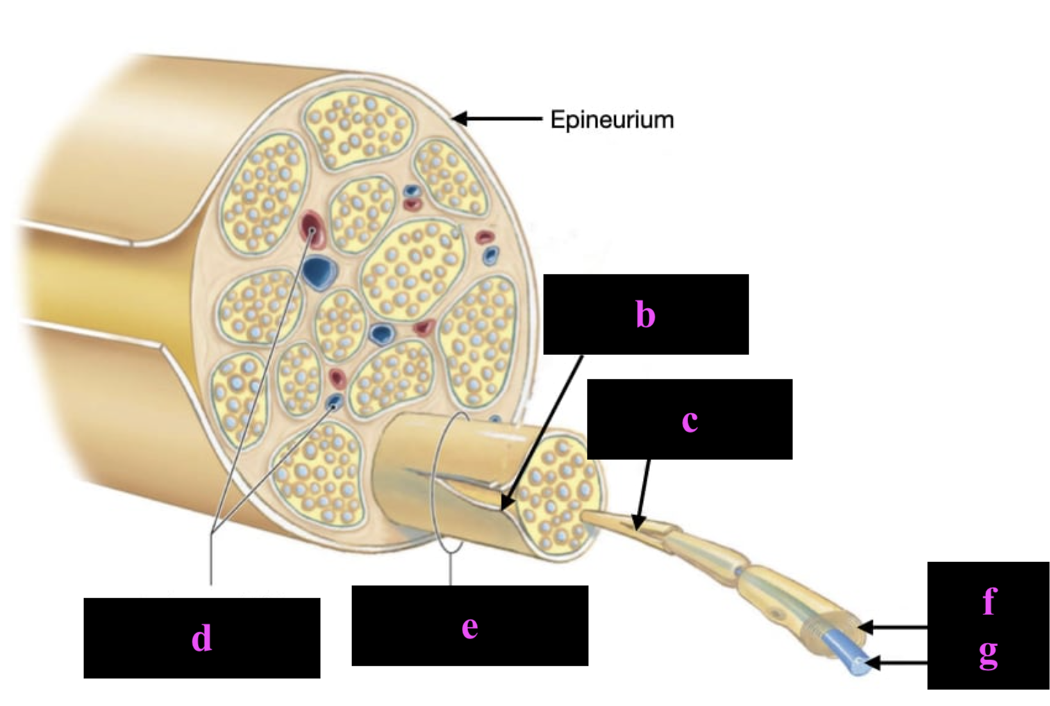 <p>b</p>