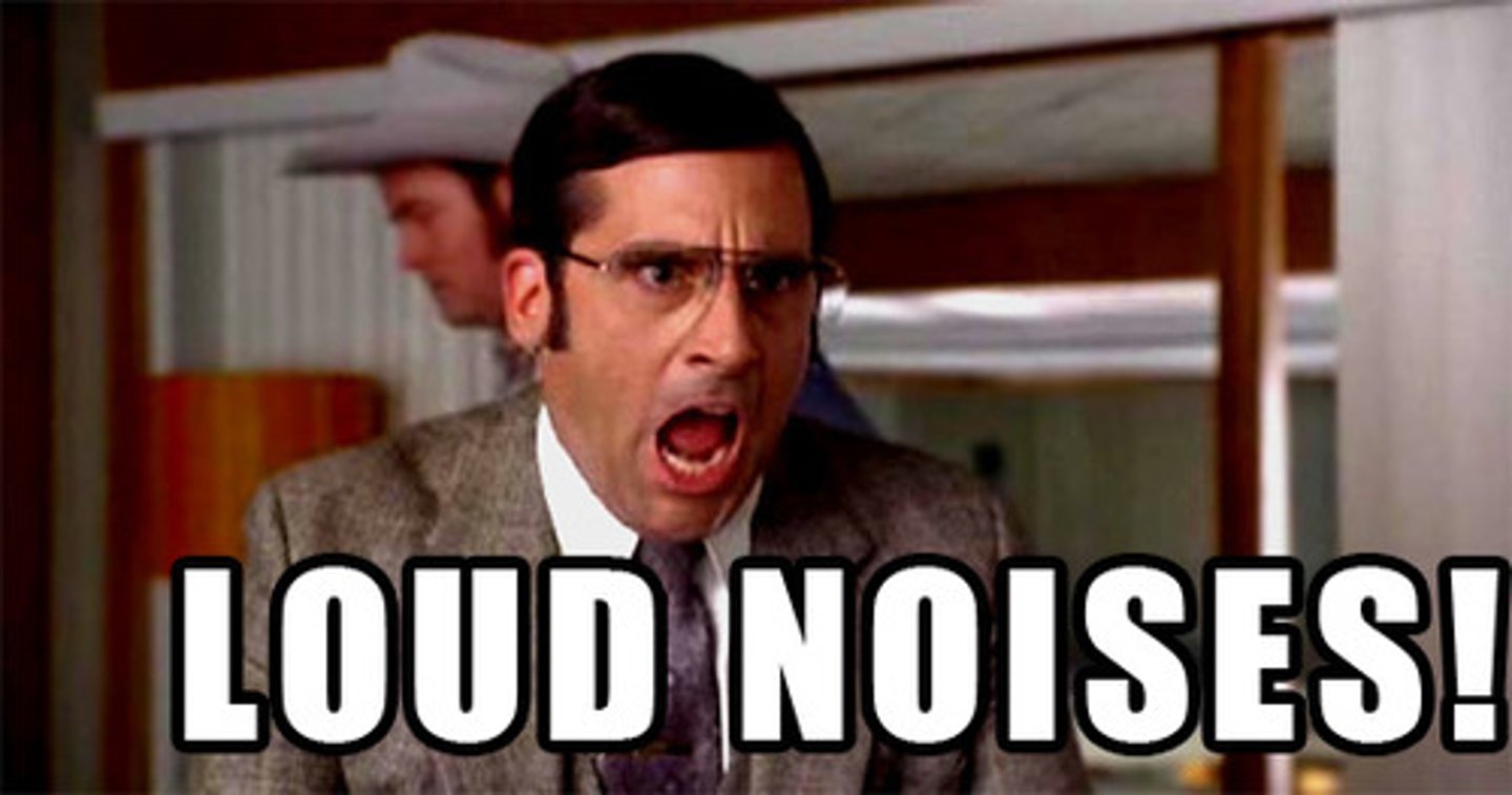 <p>(n.) a loud ringing sound; (v.) to make a loud ringing noise</p><p>SYNONYMS: (n.) din, clamor, uproar</p><p>ANTONYMS: (n.) silence, stillness, peace and quiet</p>