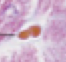 <p>What is this image?</p>