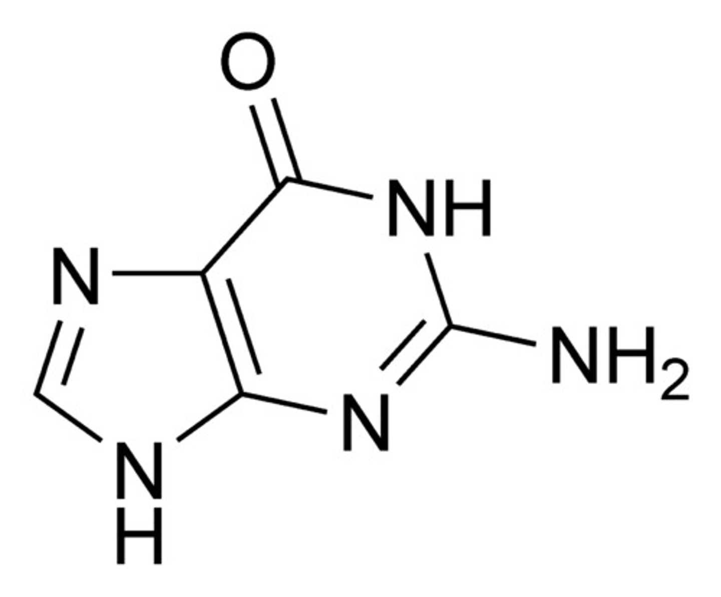 <p>The base that pairs with Cytosine in DNA, purine structure</p>