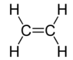 <p>double carbon bond</p>