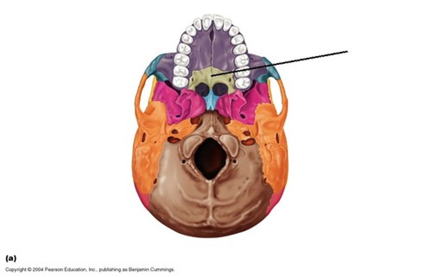 knowt flashcard image